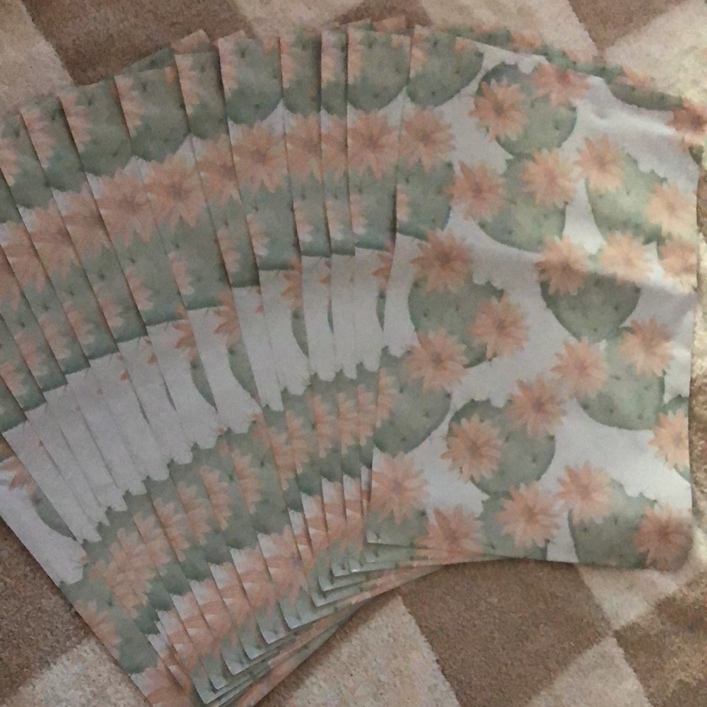 Cactus polymailers - Picture 2 of 2